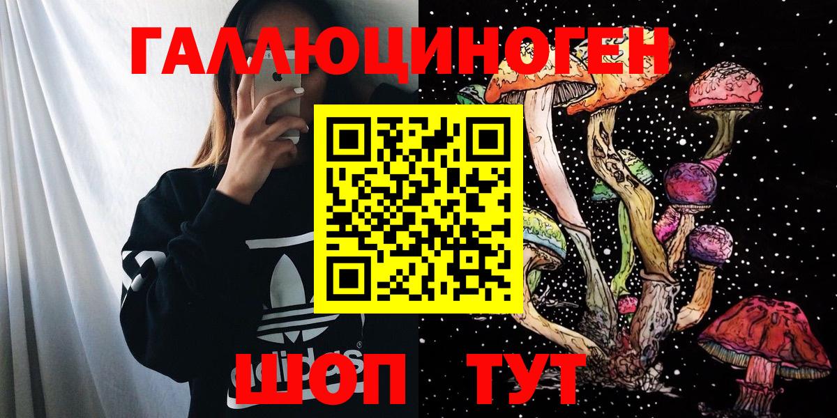 Галлюциногенные грибы Psilocybe Людиново